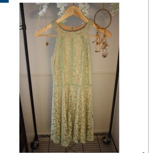 Sage Nude Lace Dress